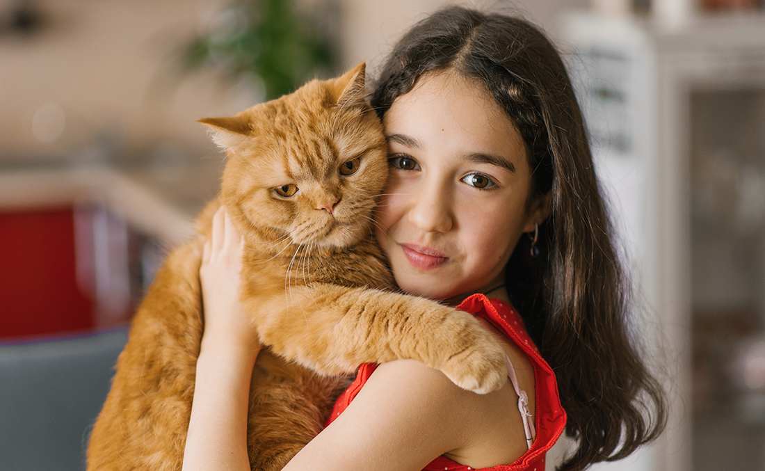 Feline Royalty