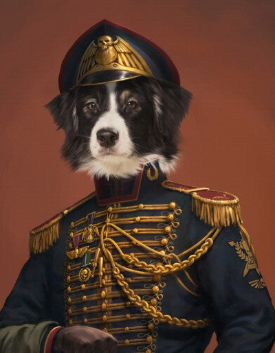 Pet Portraits