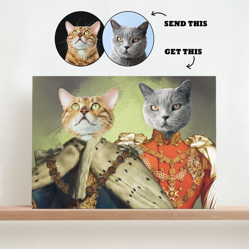 Aristocratic Animal Amity