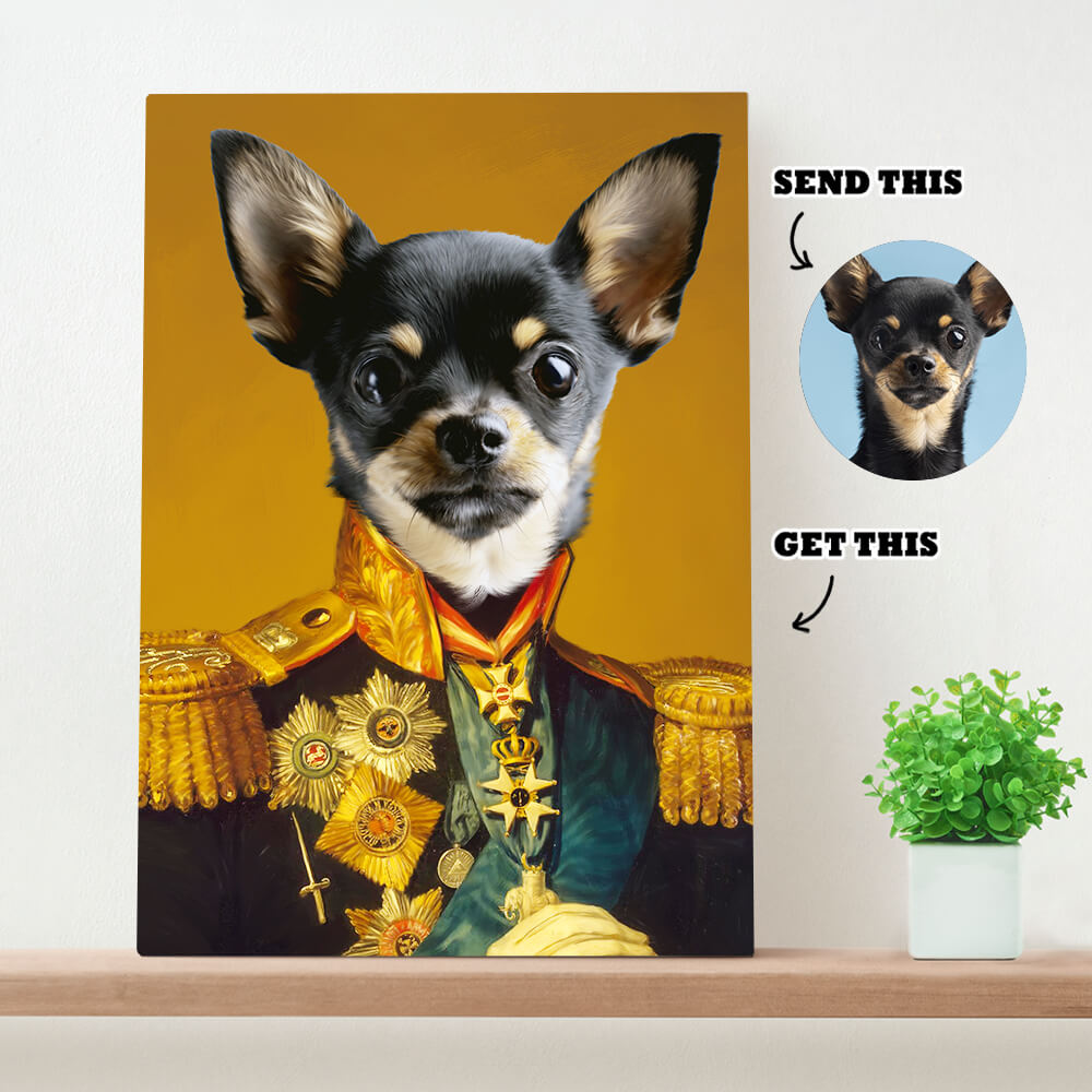 The Pawsome Admiral