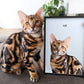 Custom Modern Cat Portrait