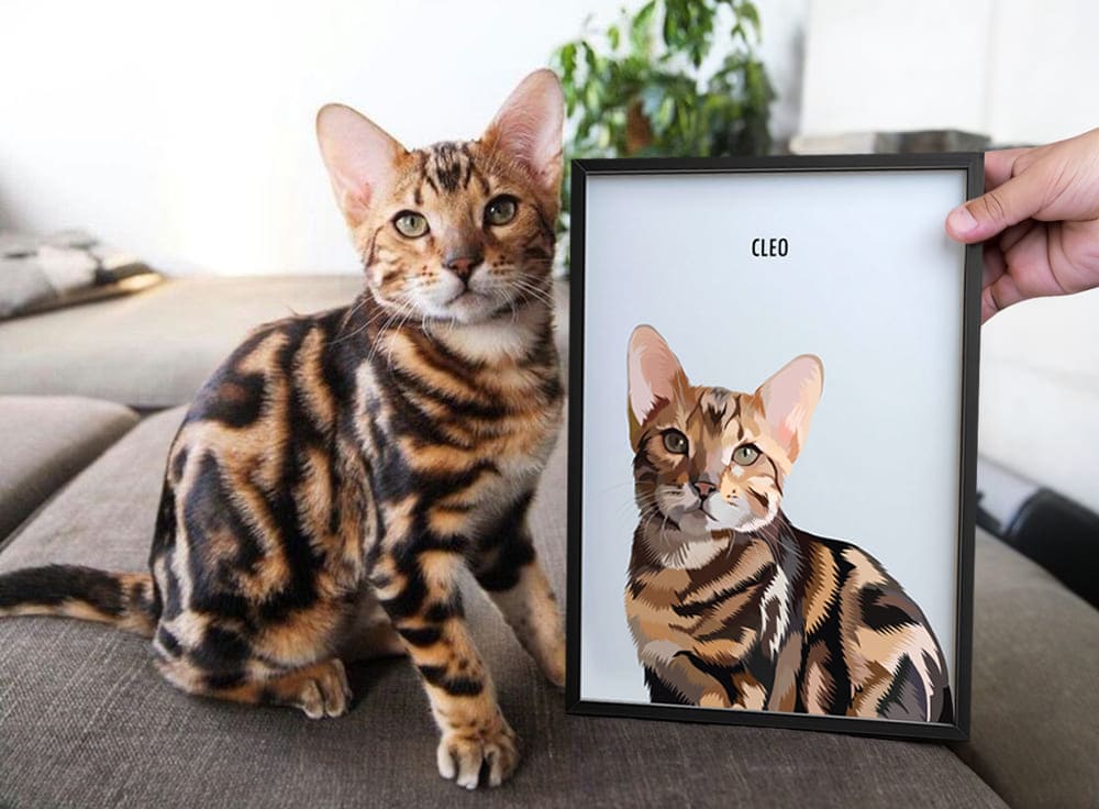 Custom Modern Cat Portrait