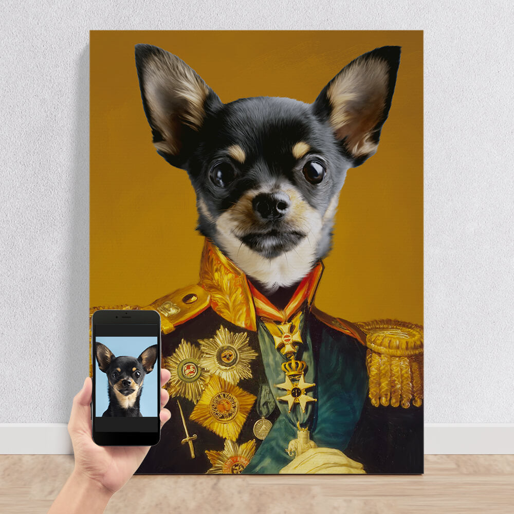 The Pawsome Admiral