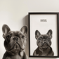 Custom Modern Dog Portrait